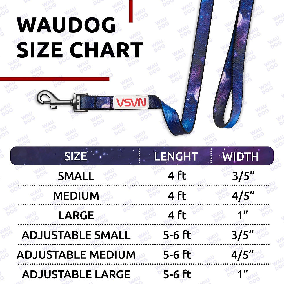 Thumbnail: Nylon Dog Leash for Small Dogs and Medium Dogs 4 Ft x 3/5 inch Wide NASA Color