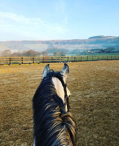 😍🐴🏡.jpg