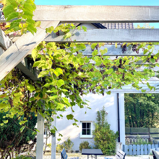 Pergola