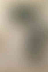 rincones románticos de Madrid para bodas