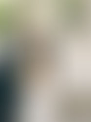 lugares para fotos de boda Madrid