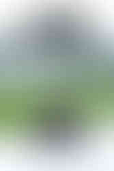 fotografia de boda documental en complejo el olivar en alcala de henares en madrid