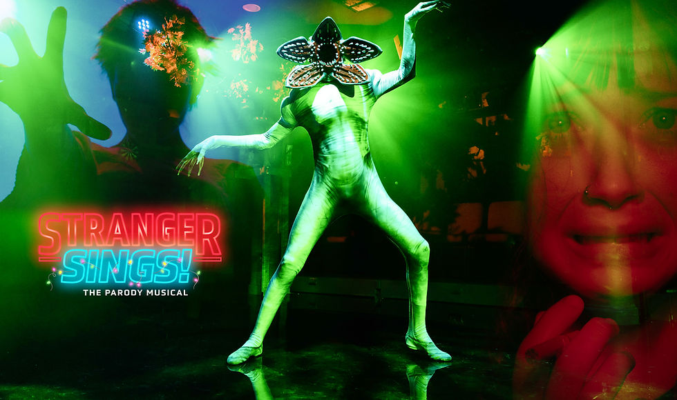 Stranger Sings