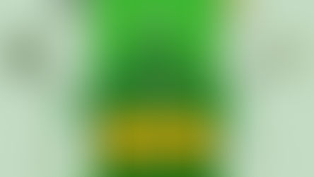 One Night 4 One Child: Celebrating 10 Years, Honoring Our 2025 Awardees, and Welcoming Dr. Sheri Ann McLean-Williams