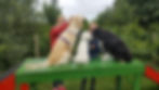Hundeschule Kinderkurs