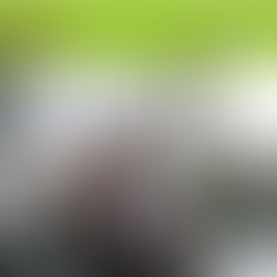 [安東人物誌]韋豊源點傳師（上）