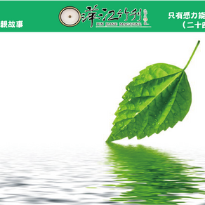 [小道親故事]只有愿力能抵業力（二十四）