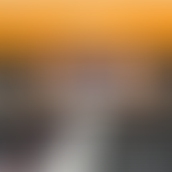 [活動紀聞] 2024甲辰龍年安東道場新春團拜