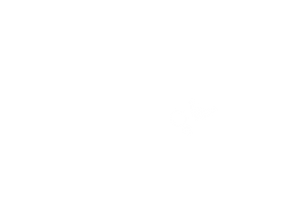 Illustration_sans_titre (2).png