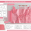 Thumbnail: Victorian Purse Card Kit – Rose Gold