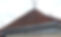 SAM_0398_edited.jpg