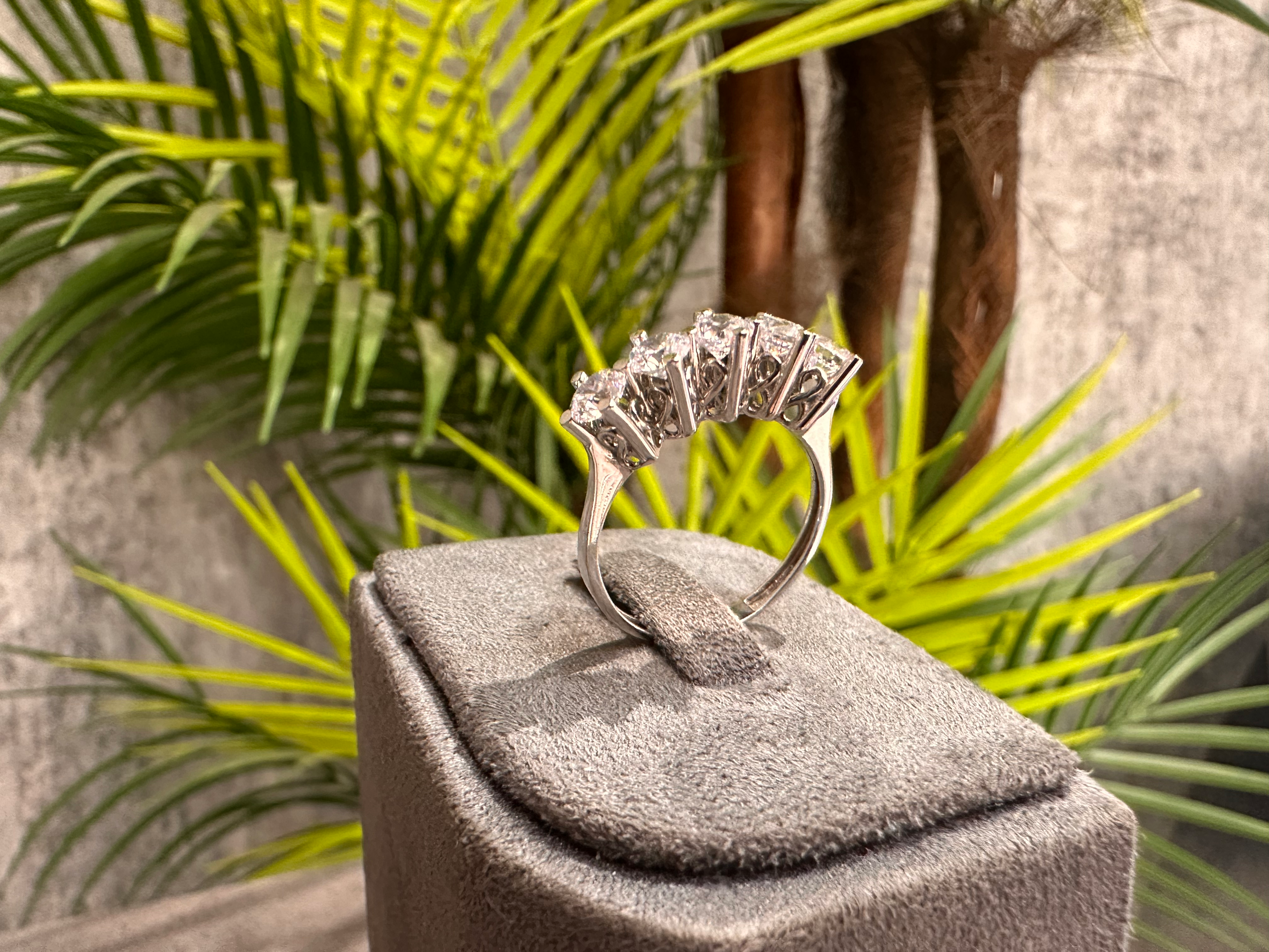 Cinque Sogno – 14 Ayar Beyaz Altın Beştaş Yüzük