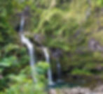 Hiking