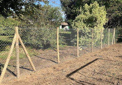 75034671609__E773B3B4-289D-4E15-B125-49C1856FD263