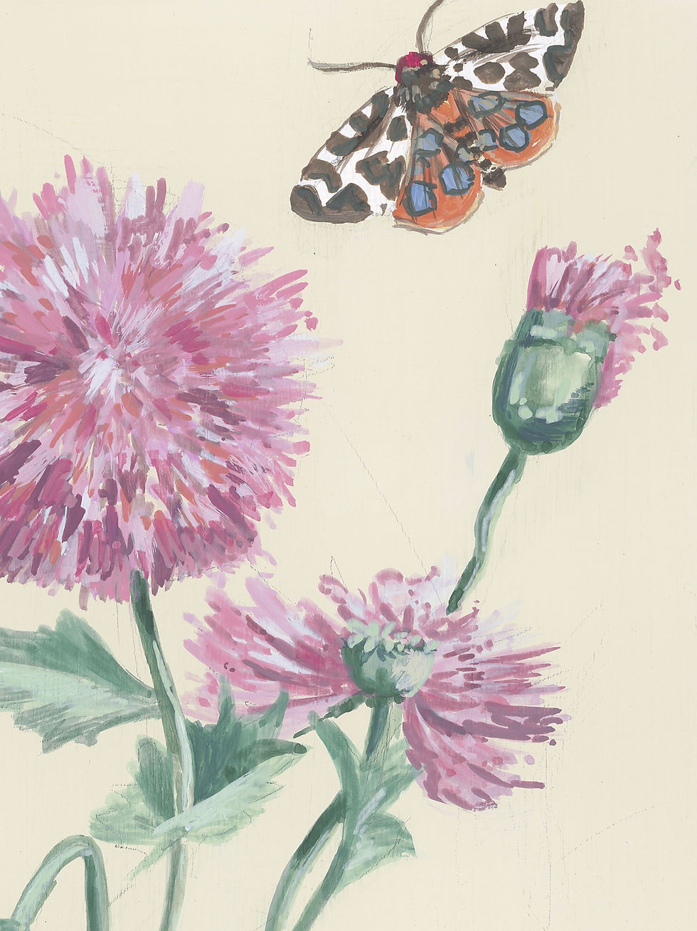 Thumbnail: Pink Sizzle Poppy A4 print (unframed)