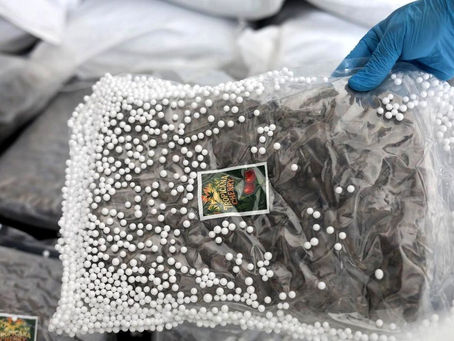Türkiye ve Suriye'nin MİT koordinesindeki ortak operasyonunda Lazkiye Limanı'nda 236 kilogram esrar ele geçirildi. Fotoğraf: SonDakika.com