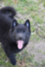 e0ef6a13-1fa3-4114-89d1-d6d06c30b623