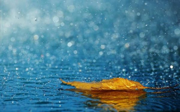 Mơ Thấy Mưa Đánh Con Gì, Số Mấy? Giải mã giấc mơ trong lô đề content media