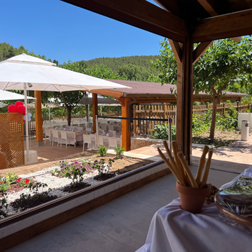 IMG_7129 2022-08-04 21_00_28.HEIC