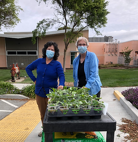 VA hospital plant donation 2.png