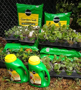 VA Garden 6.jpg