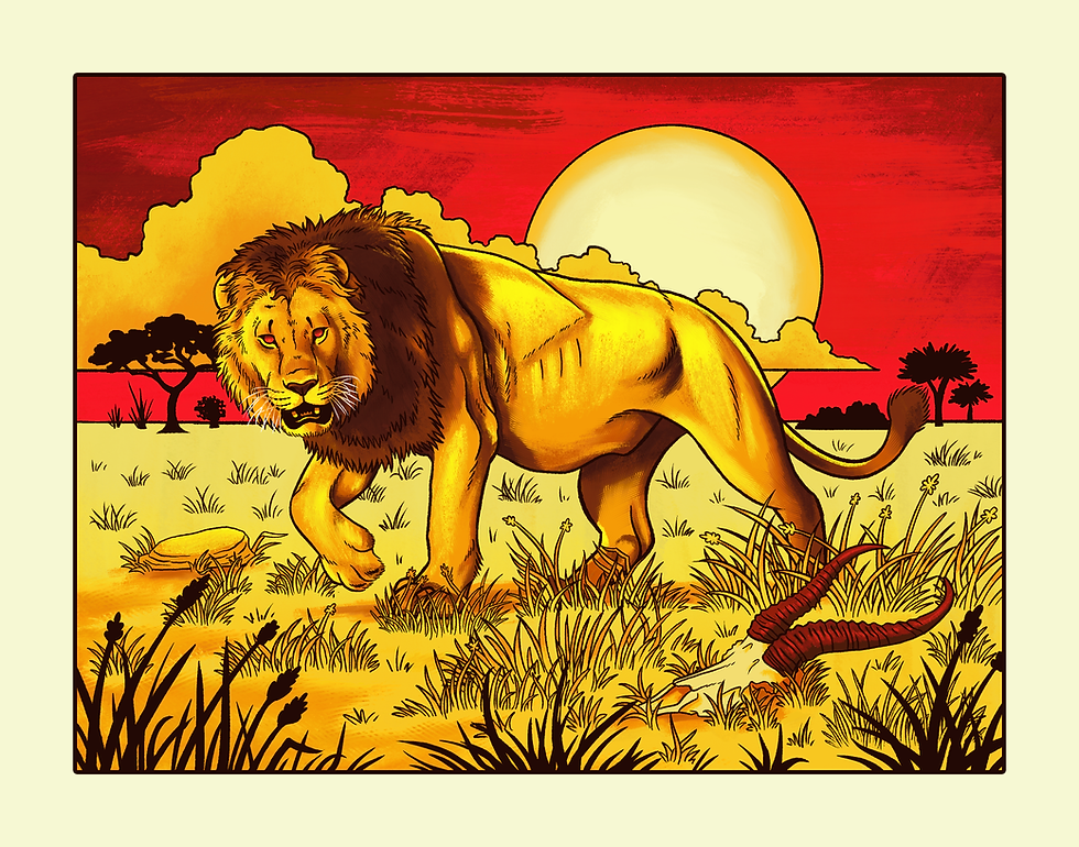 lion for website