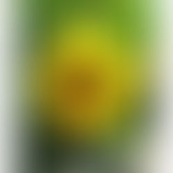 伝説の少女、再び。