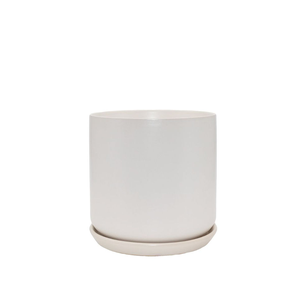 Thumbnail: Potted - Olso Planter Ice White - Various Sizes