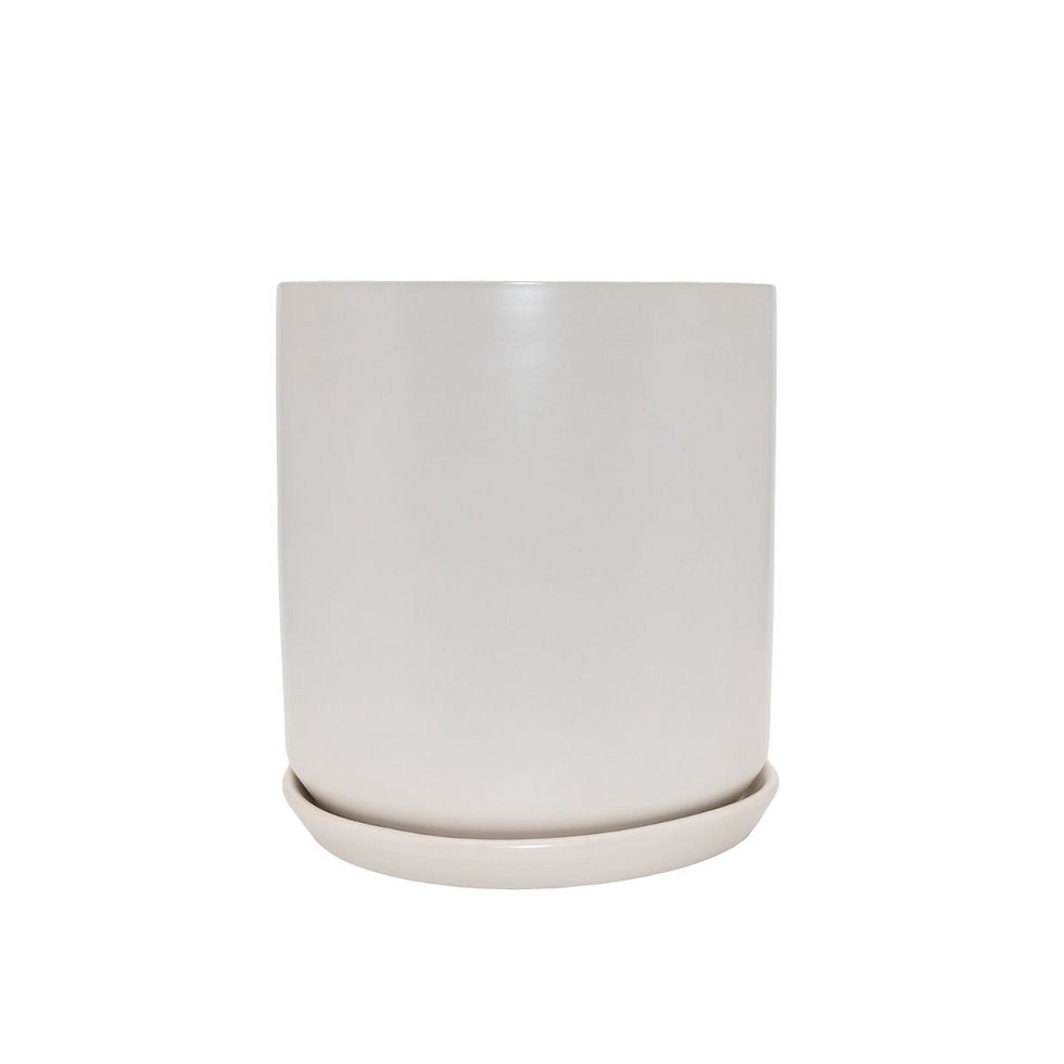 Thumbnail: Potted - Olso Planter Ice White - Various Sizes