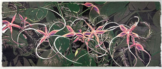 Clematis by Jean Gumpper woodcut print at William Havu Gallery.