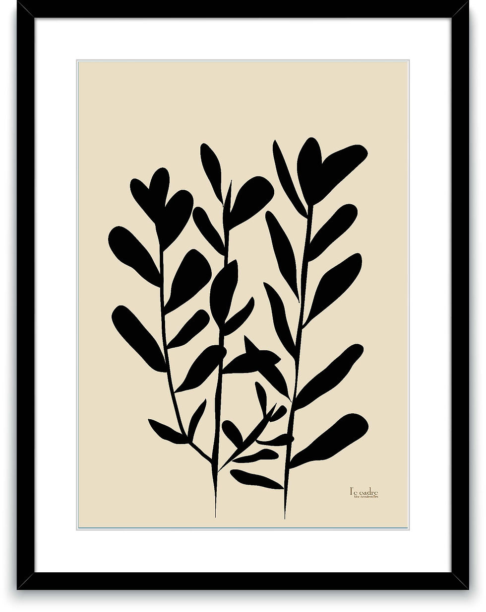 תמונה ממוזערת: OMER
