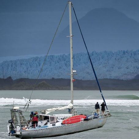 Lost in the swell : les surfeurs de bonnes humeurs