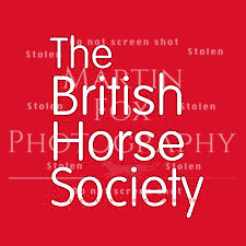 BHS Riding School Championships