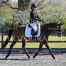 Swallowfield Equestrian - Dressage