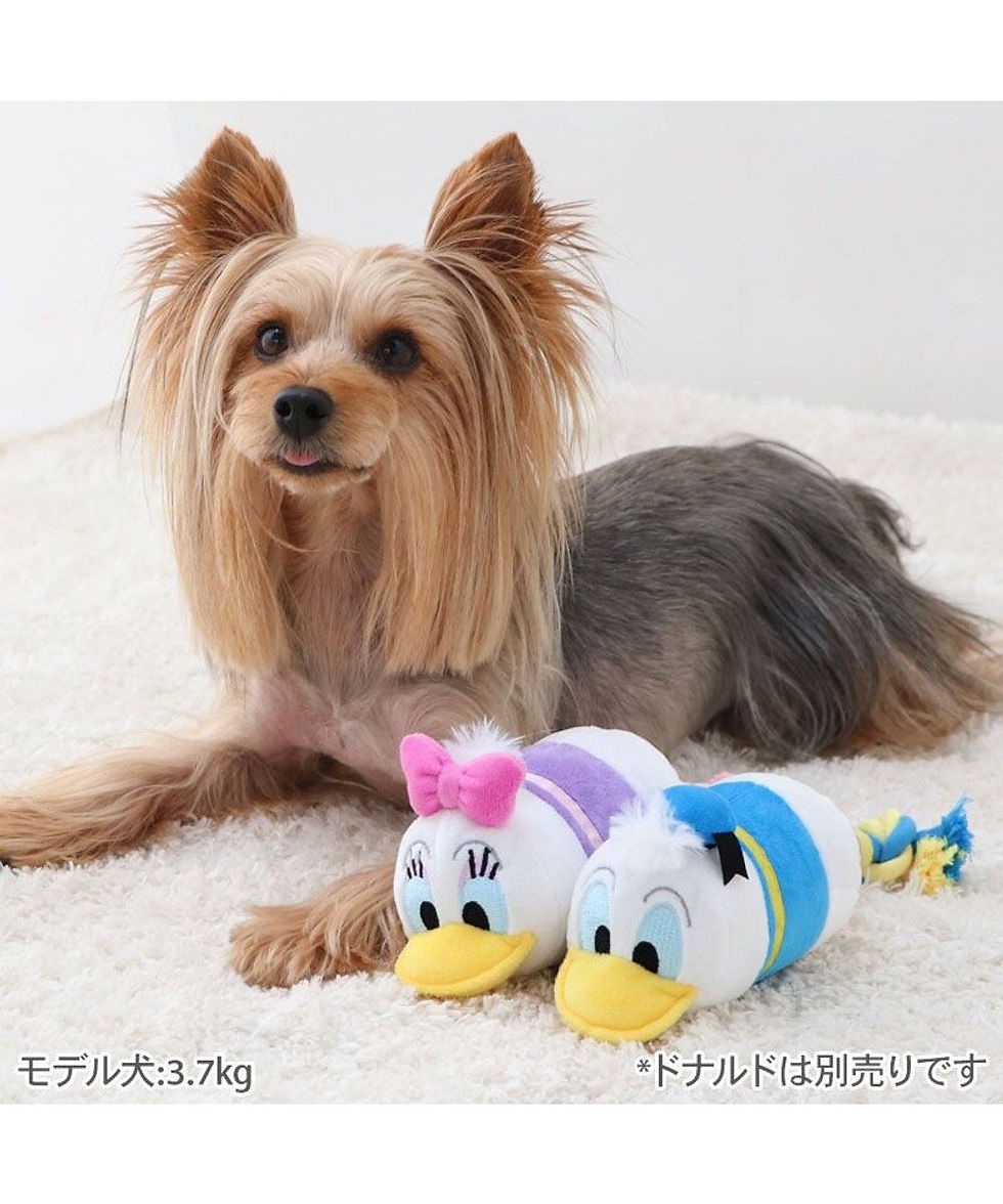 縮圖：Donald x Daisy 拉扯可發聲玩具