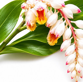 line_oa_chat_260529_132305.jpg