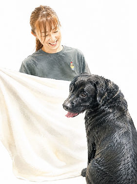 line_oa_chat_260528_123417.jpg