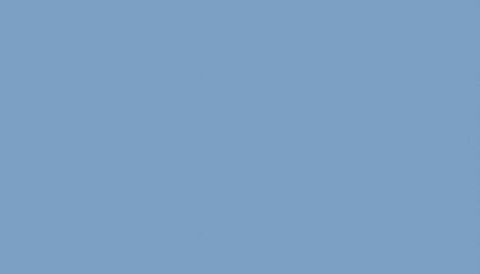 Logo Anigraphic_CHA.gif