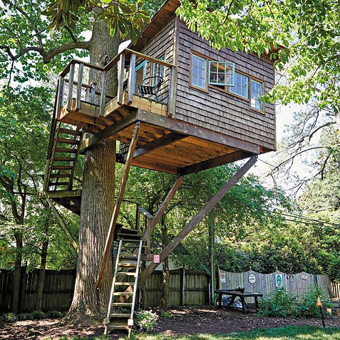 Treehouse.jpg