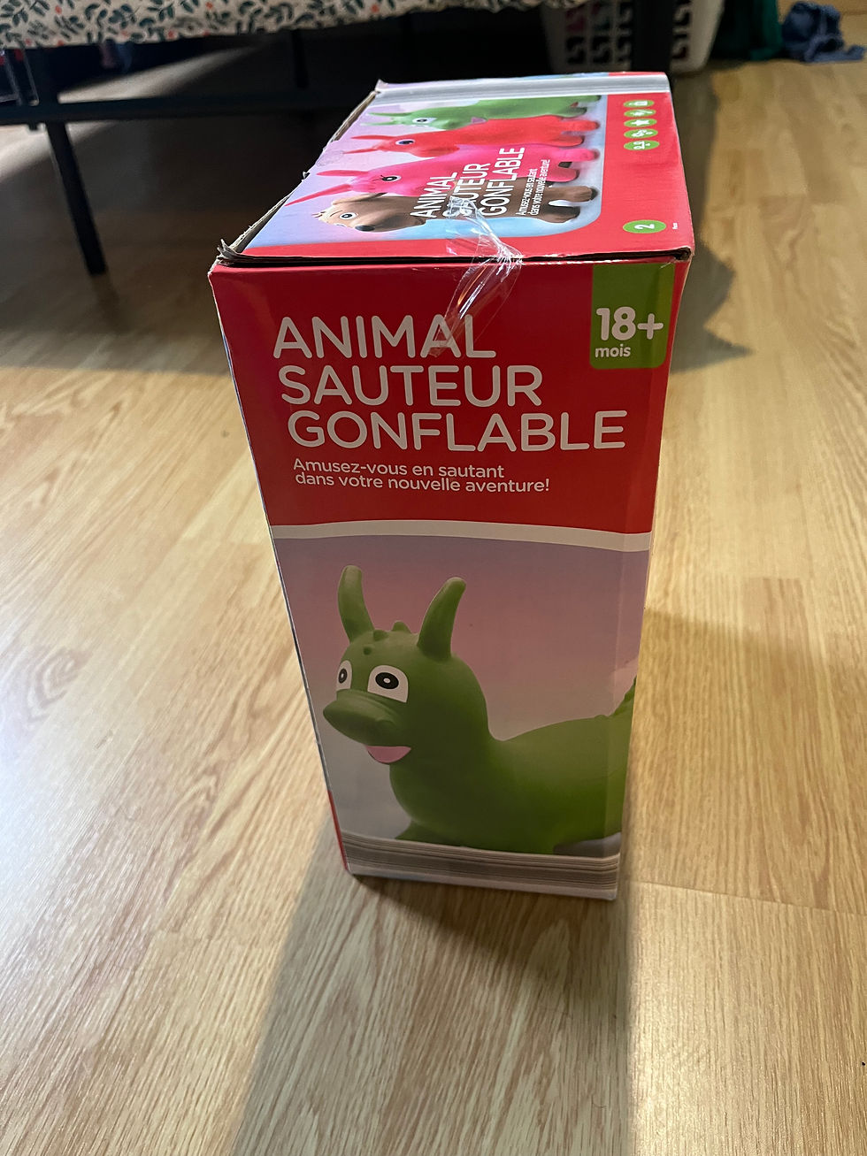 Miniature : Cheval Sauteur Gonflable