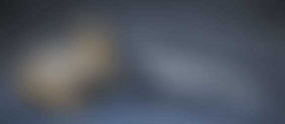 Feinwerkbau P 8X - kort