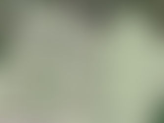 Posbrook Lane Housing Development Plan