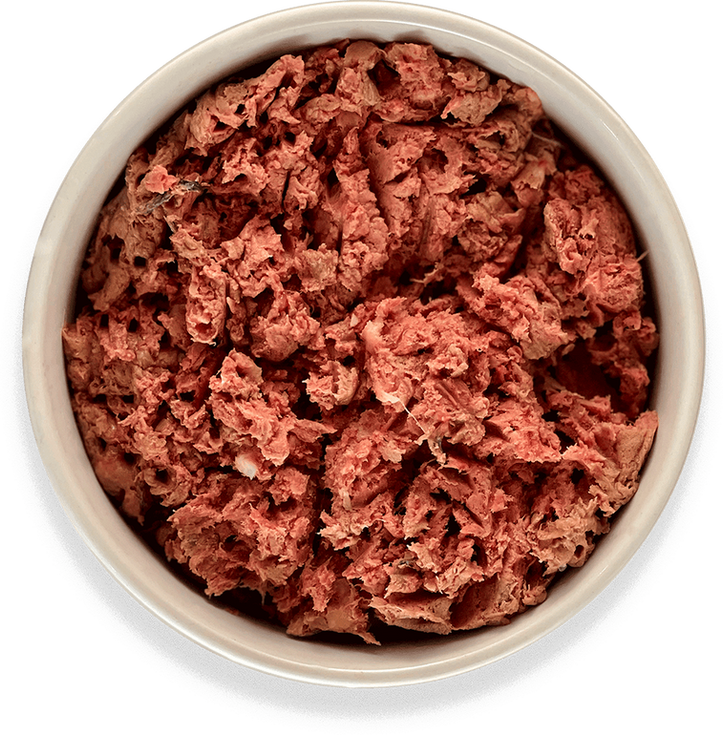 Overhead shot of dog food in a white bowl, ready for eating.