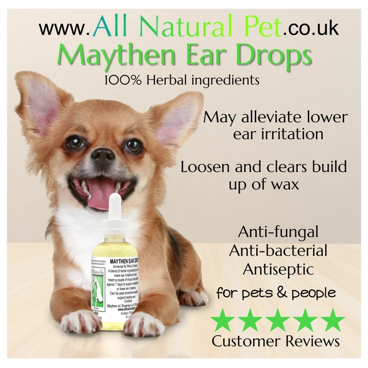 Cute dog with Maythen Ear Drops product, alleviates ear irritation for pets.
