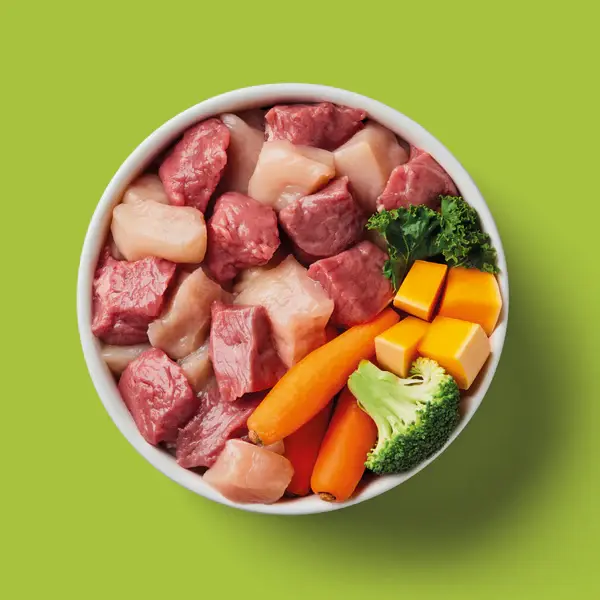 Dog food bowl with meat, vegetables, and greens on a green background.