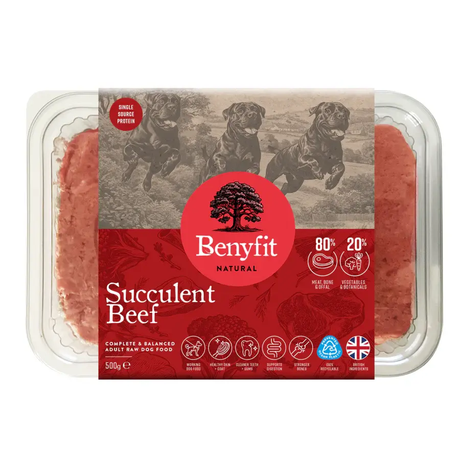 Benyfit Natural Succulent Beef raw dog food in clear plastic packaging.