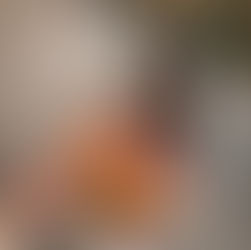 A Doberman looks up at a bowl of raw meat, fish, egg yolk, and banana slices. The scene is on wooden decking with greenery in the background.