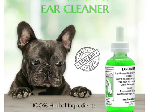 Black dog with Ear Cleaner product, All Natural Pet URL and text. Ear Cleaner Drops 50ml.