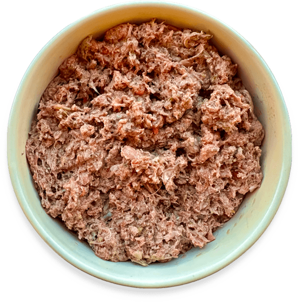 Overhead shot of a bowl of wet dog food for healthy meals.
