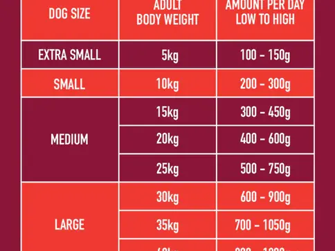Dog size adult weight and amount per day chart, extra small to large